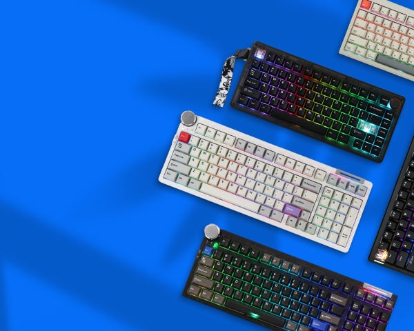 CIDOO Spring Sale 2026